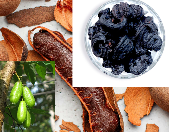 Bilimbi (Averrhoa bilimbi), Goraka (Garcinia gummi-gutta), and Tamarind (Tamarindus indica)